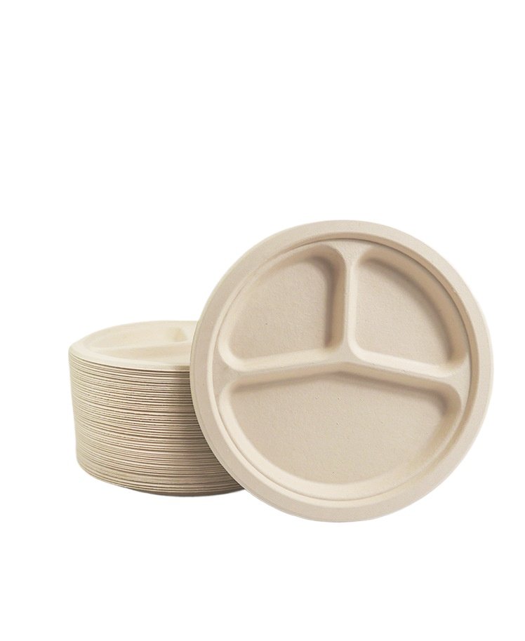 Natural Bamboo Pulp And Bamboo Fiber Disposable Biodegradable Picnic ...