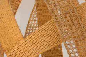Bamboo Solves Global Plastic Crisis, Bamboo Crafts Become Popular in Europe and America 1