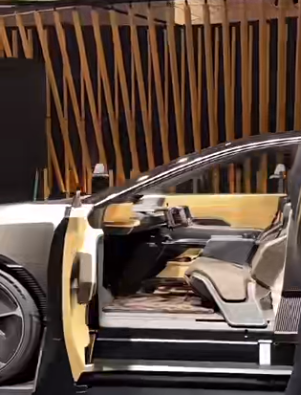 customized bamboo car interior