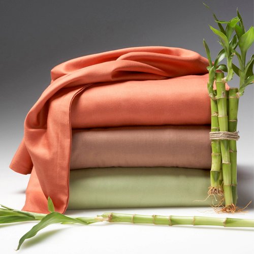 Bamboo Is Resourceful, And The Sustainable Potential of Bamboo Resources Is Limitless 31
