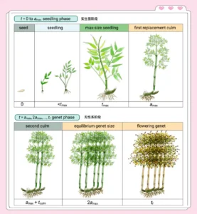 35a85edf8db1cb13d6de50d5e4b4385e90584bb5