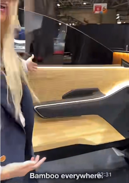 customized bamboo car interior