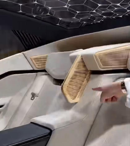 customized bamboo car interior