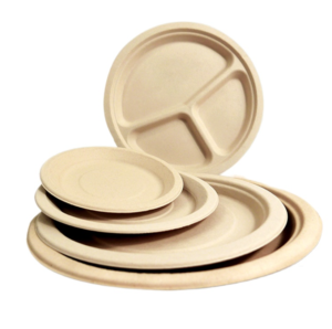 Home natural bamboo pulp and bamboo fiber disposable biodegradable picnic plate
