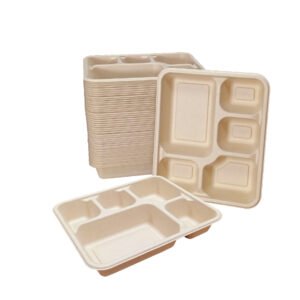 disposable bamboo fiber multi grid lunch box, environmentally friendly and biodegradable