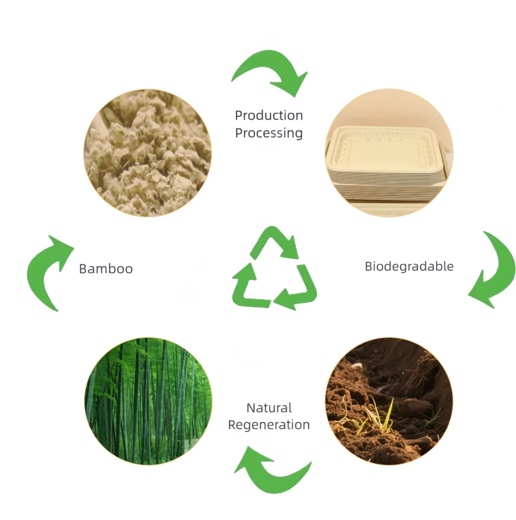 竹生态图片 变清晰