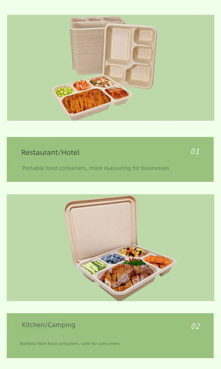 disposable bamboo fiber multi grid lunch box, environmentally friendly and biodegradable